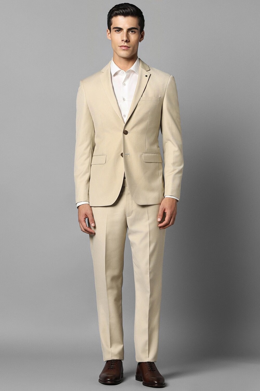 Men Beige Slim Fit Textured Formal Two Piece Suit-Beige