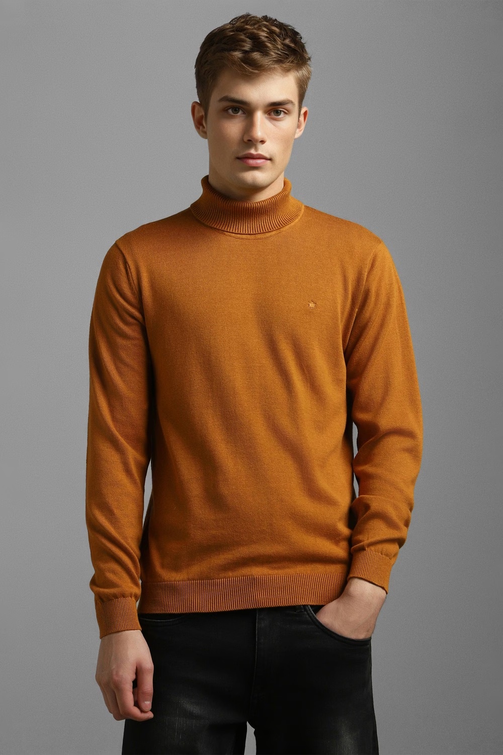 Men Brown Solid Turtle Neck Full Sleeves Sweater-Brown 1 11736-men-brown-solid-turtle-neck-full-sleeves-sweater-brown-1.jpg