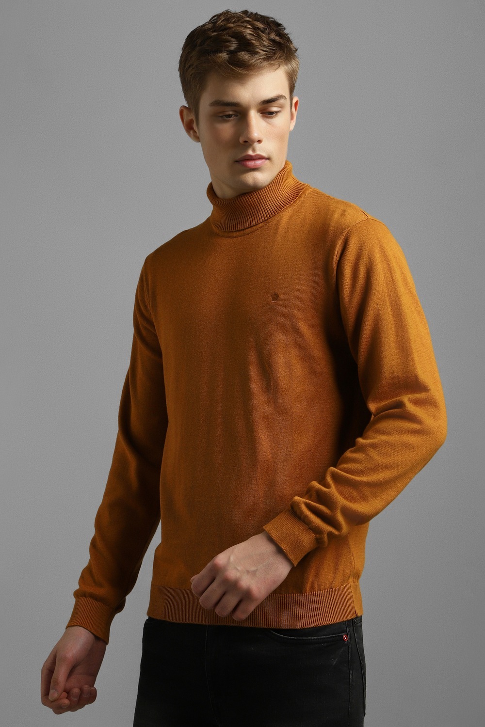 11736-men-brown-solid-turtle-neck-full-sleeves-sweater-brown-1.jpg