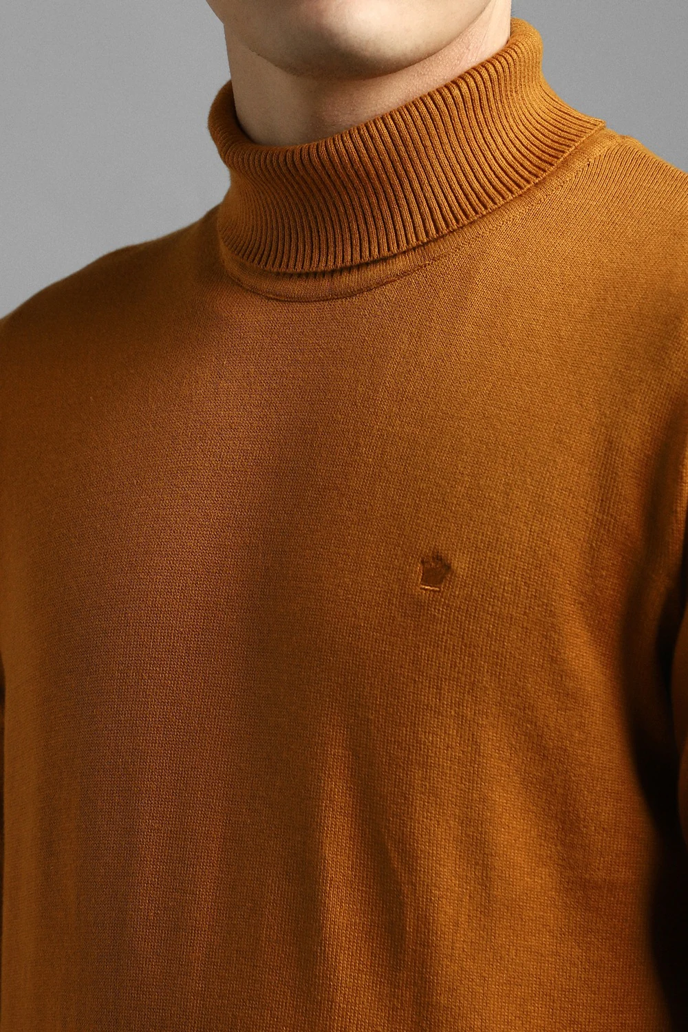 11736-men-brown-solid-turtle-neck-full-sleeves-sweater-brown-1.jpg