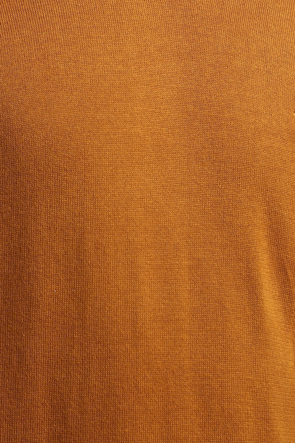 11736-men-brown-solid-turtle-neck-full-sleeves-sweater-brown-1.jpg