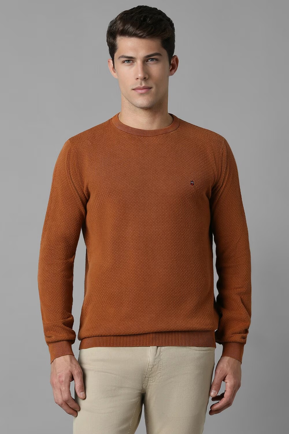 Men Brown Textured Crew Neck Full Sleeves Sweater-Brown