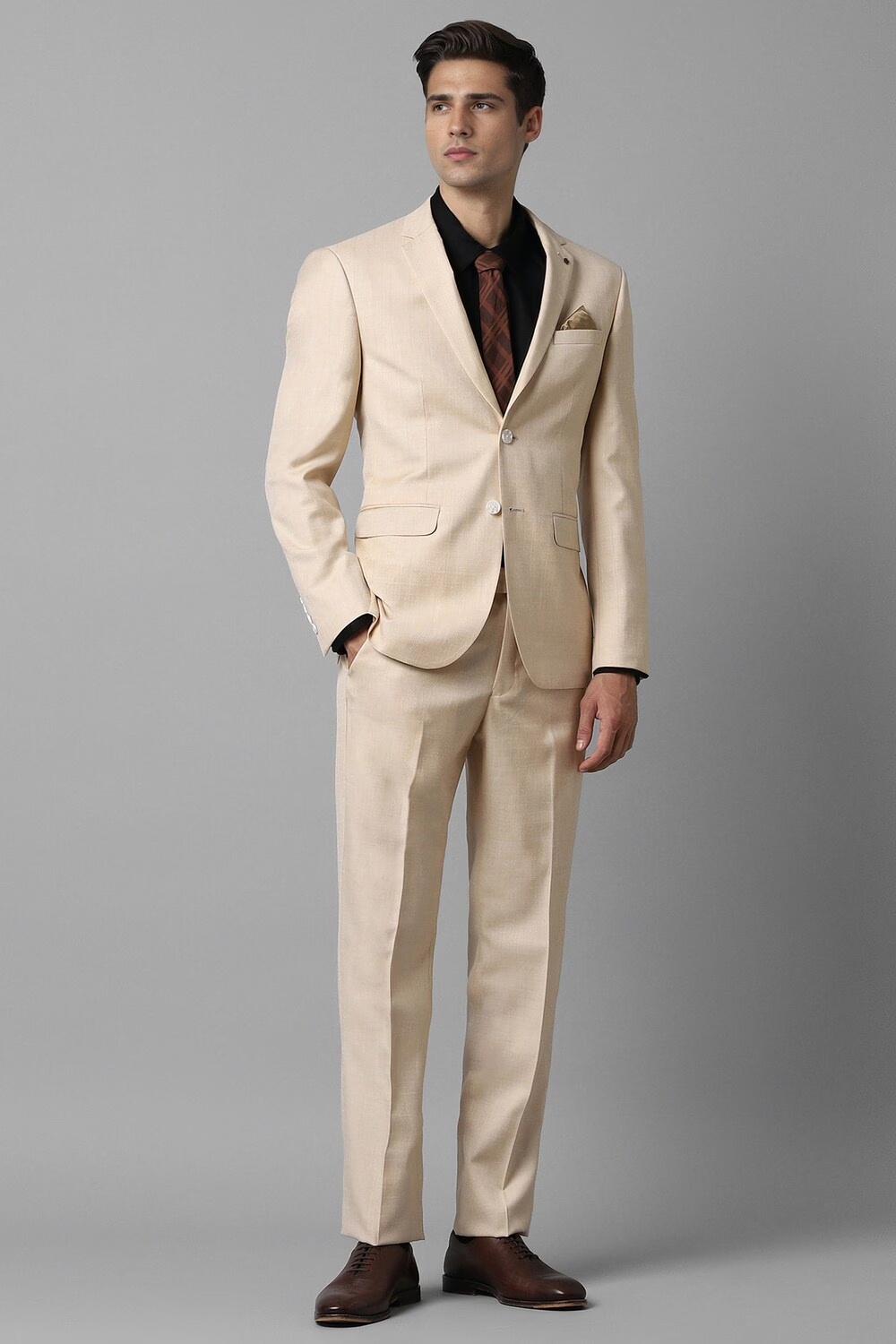 Men Beige Slim Fit Textured Formal Two Piece Suit-Beige
