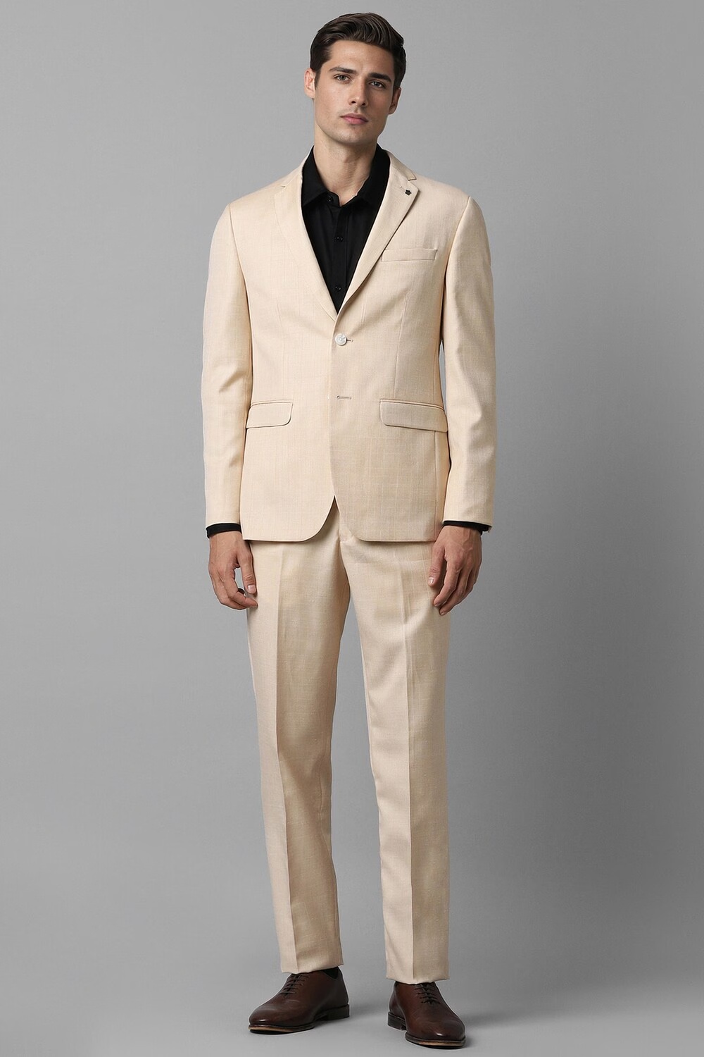 Men Beige Slim Fit Textured Formal Two Piece Suit-Beige
