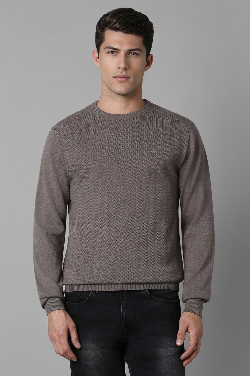 21272-men-brown-patterned-crew-neck-full-sleeves-sweater-brown-1.jpg