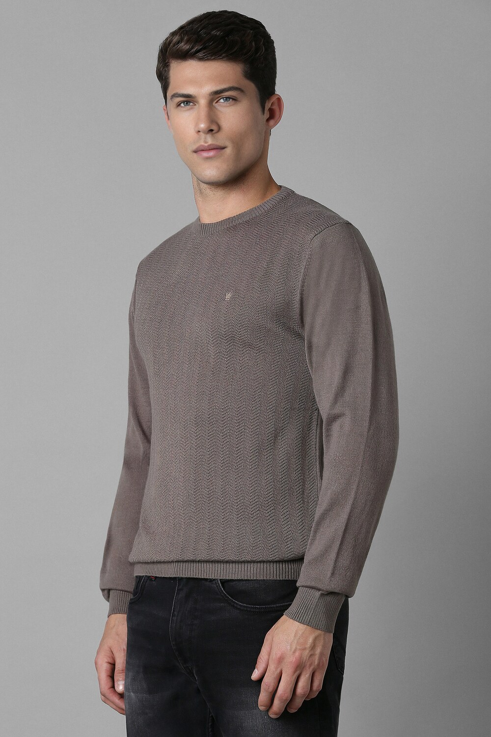 21272-men-brown-patterned-crew-neck-full-sleeves-sweater-brown-1.jpg