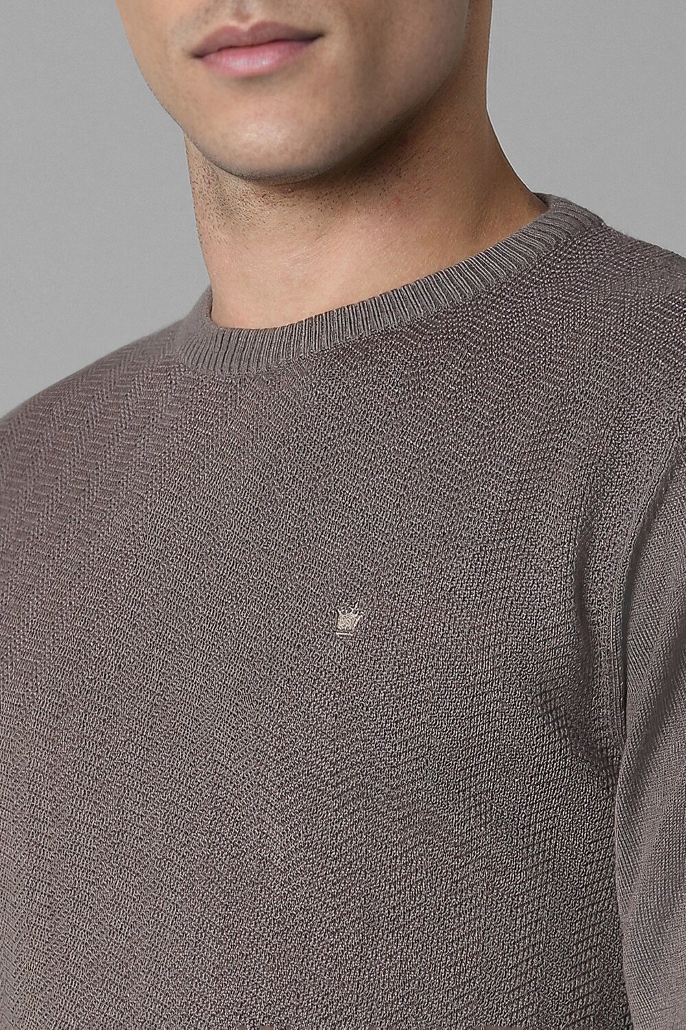 21272-men-brown-patterned-crew-neck-full-sleeves-sweater-brown-1.jpg