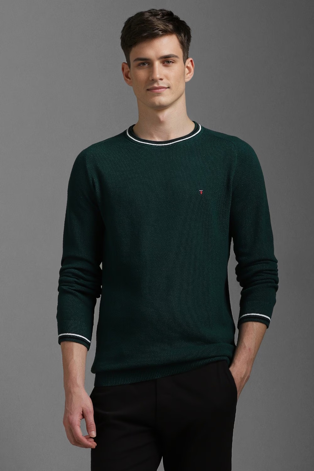 Men Green Textured Crew Neck Full Sleeves Sweater-Green