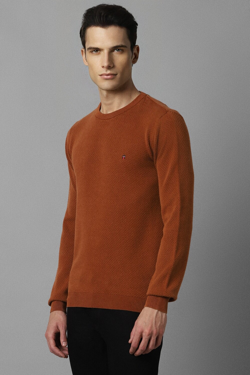 2300-men-brown-solid-crew-neck-full-sleeves-sweater-brown-1.jpg