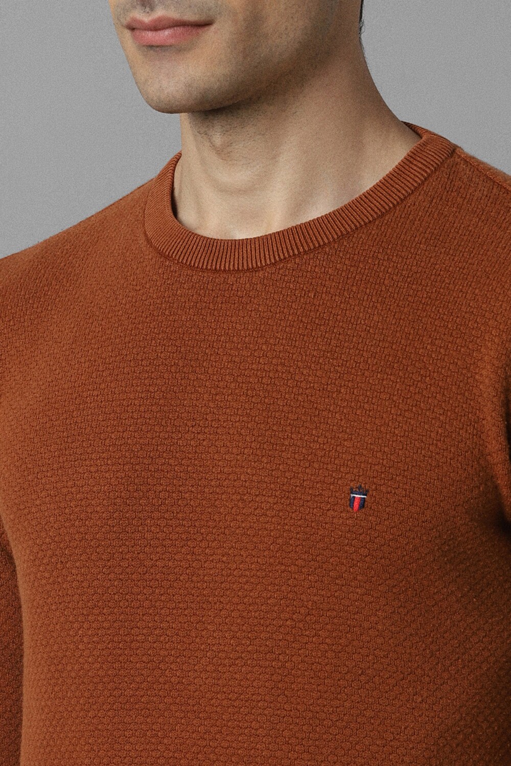 2300-men-brown-solid-crew-neck-full-sleeves-sweater-brown-1.jpg