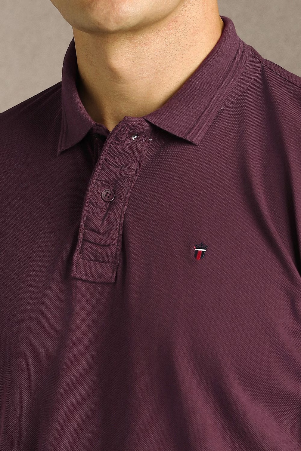 23850-men-purple-solid-polo-neck-t-shirt-purple-1.jpg