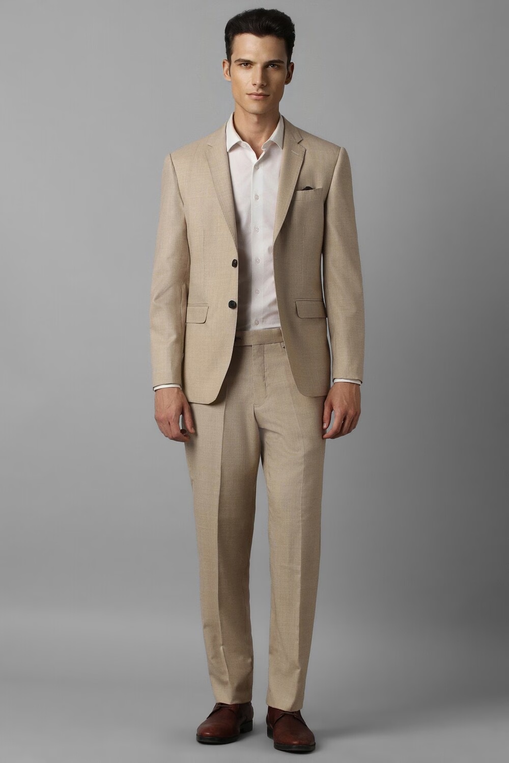Men Beige Slim Fit Textured Formal Two Piece Suit-Beige