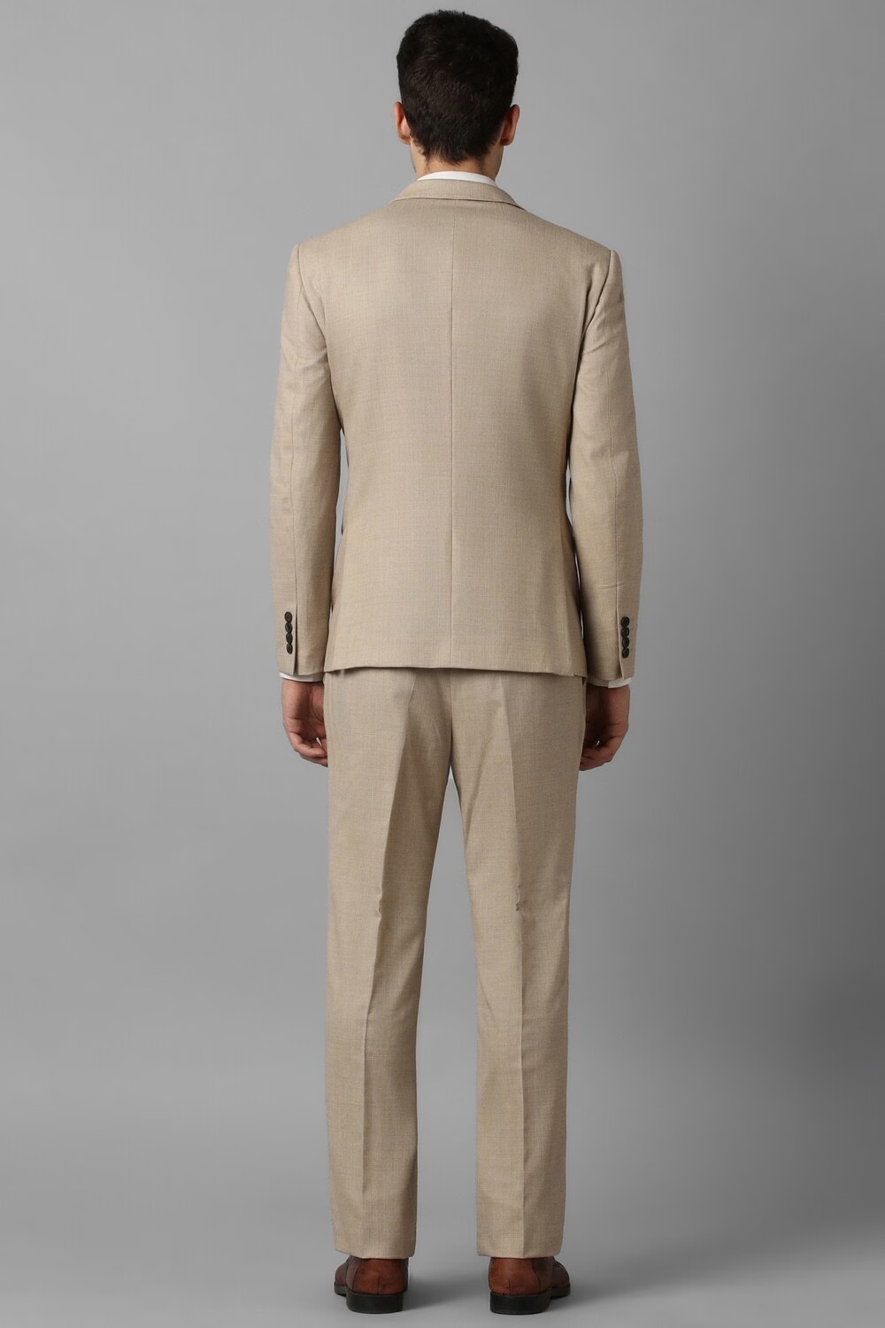 Men Beige Slim Fit Textured Formal Two Piece Suit-Beige