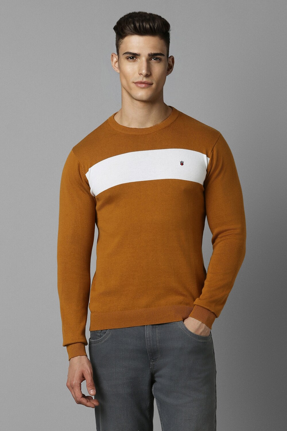 Men Brown Patterned Crew Neck Full Sleeves Sweater-Brown 1 2611-men-brown-patterned-crew-neck-full-sleeves-sweater-brown-1.jpg