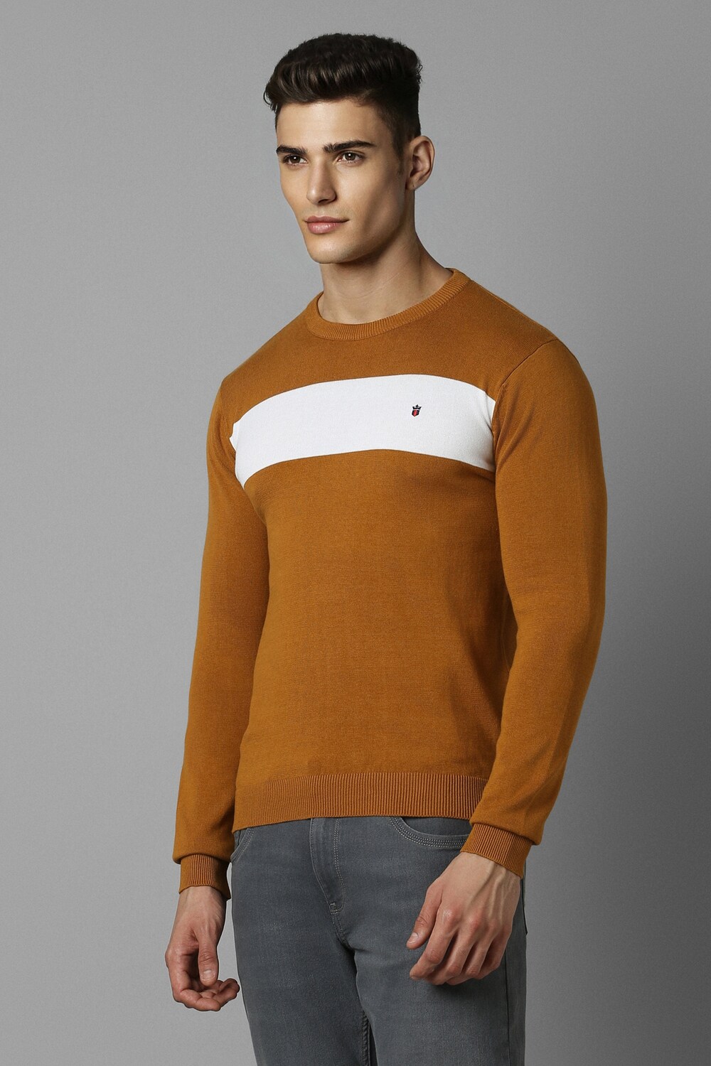 2611-men-brown-patterned-crew-neck-full-sleeves-sweater-brown-1.jpg