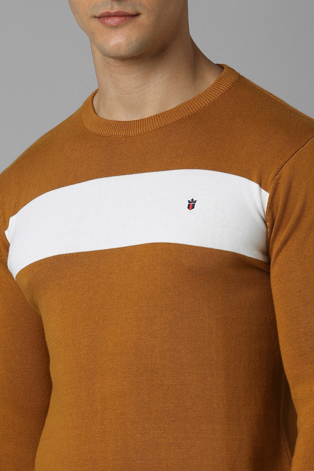 2611-men-brown-patterned-crew-neck-full-sleeves-sweater-brown-1.jpg
