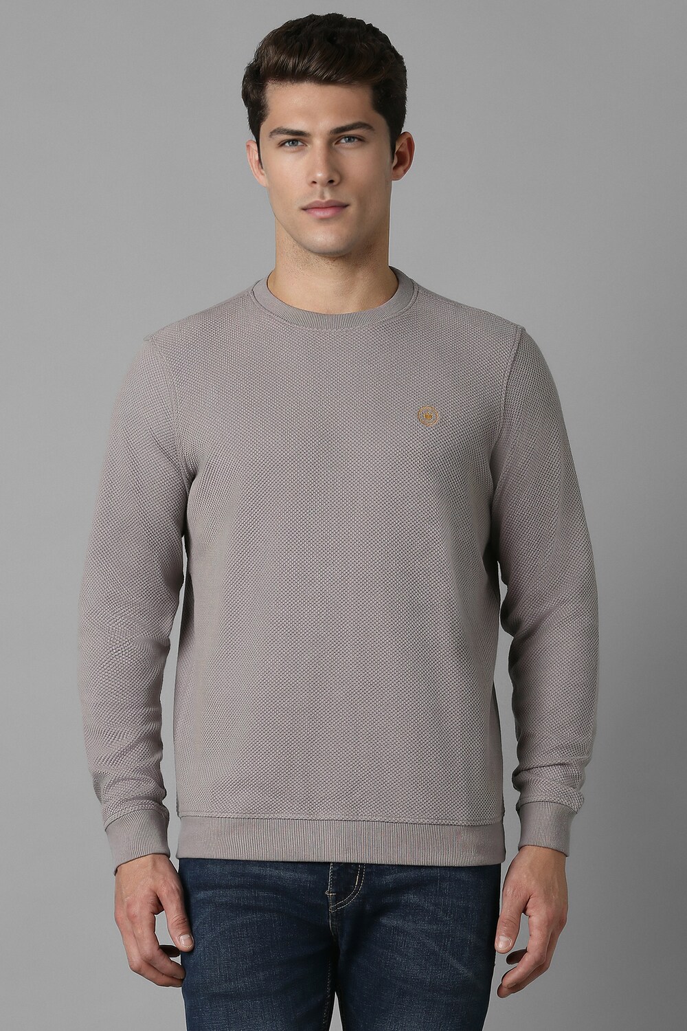 Men Casual Grey Textured Sweatshirt-Grey