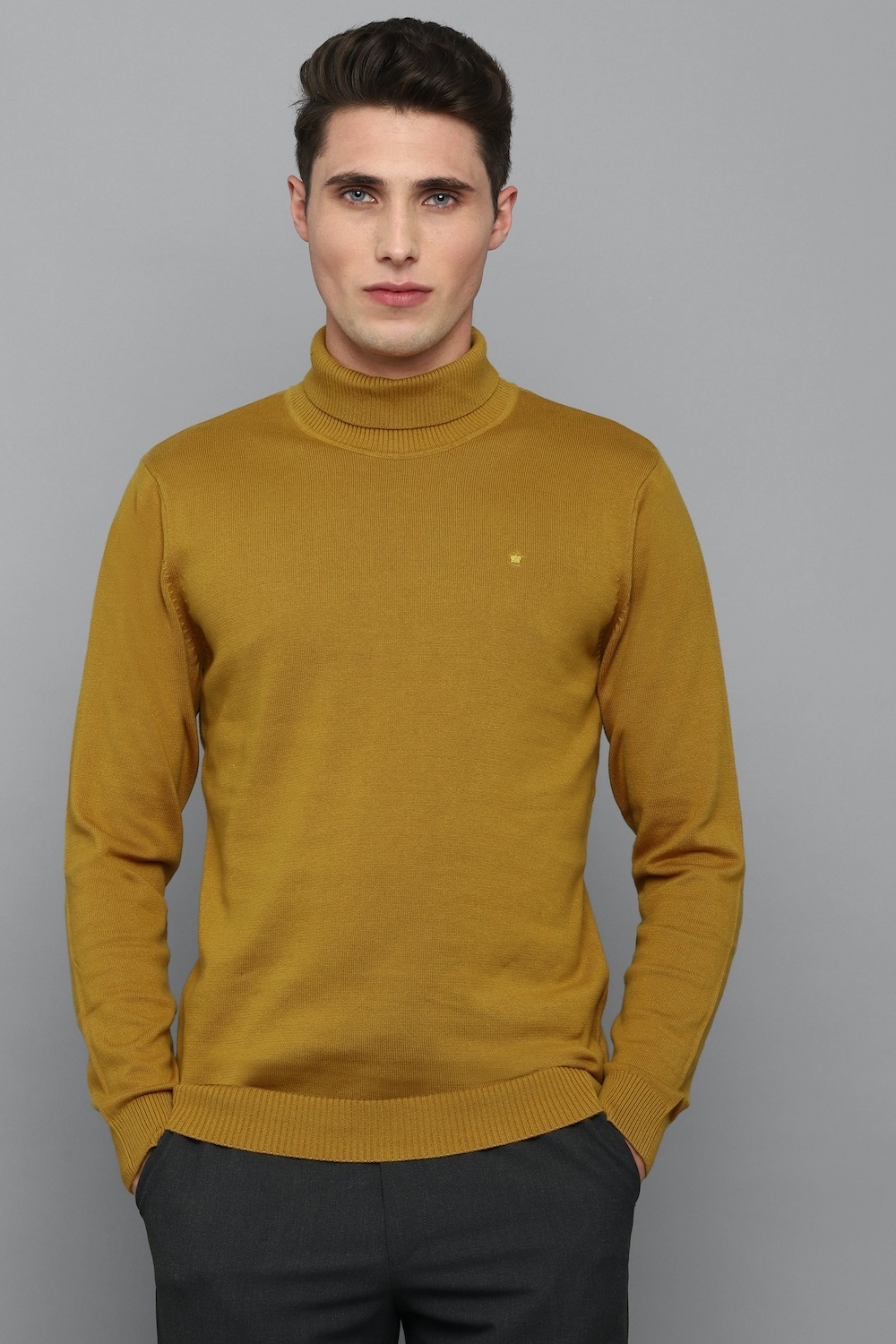 27577-men-brown-solid-turtle-neck-full-sleeves-sweater-brown-1.jpg