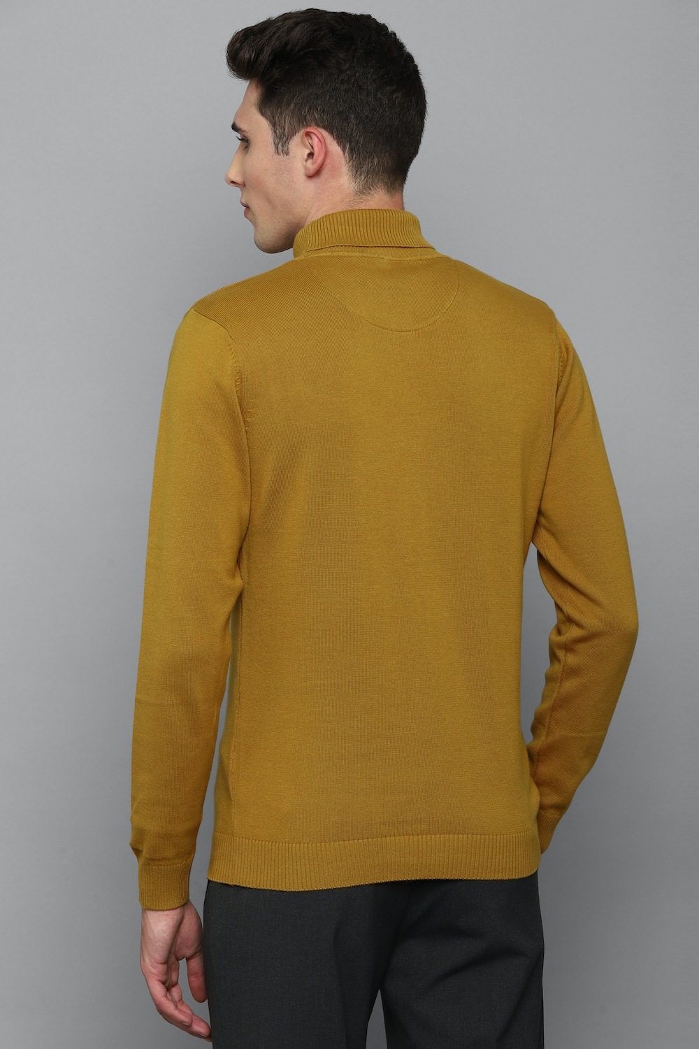 27577-men-brown-solid-turtle-neck-full-sleeves-sweater-brown-1.jpg