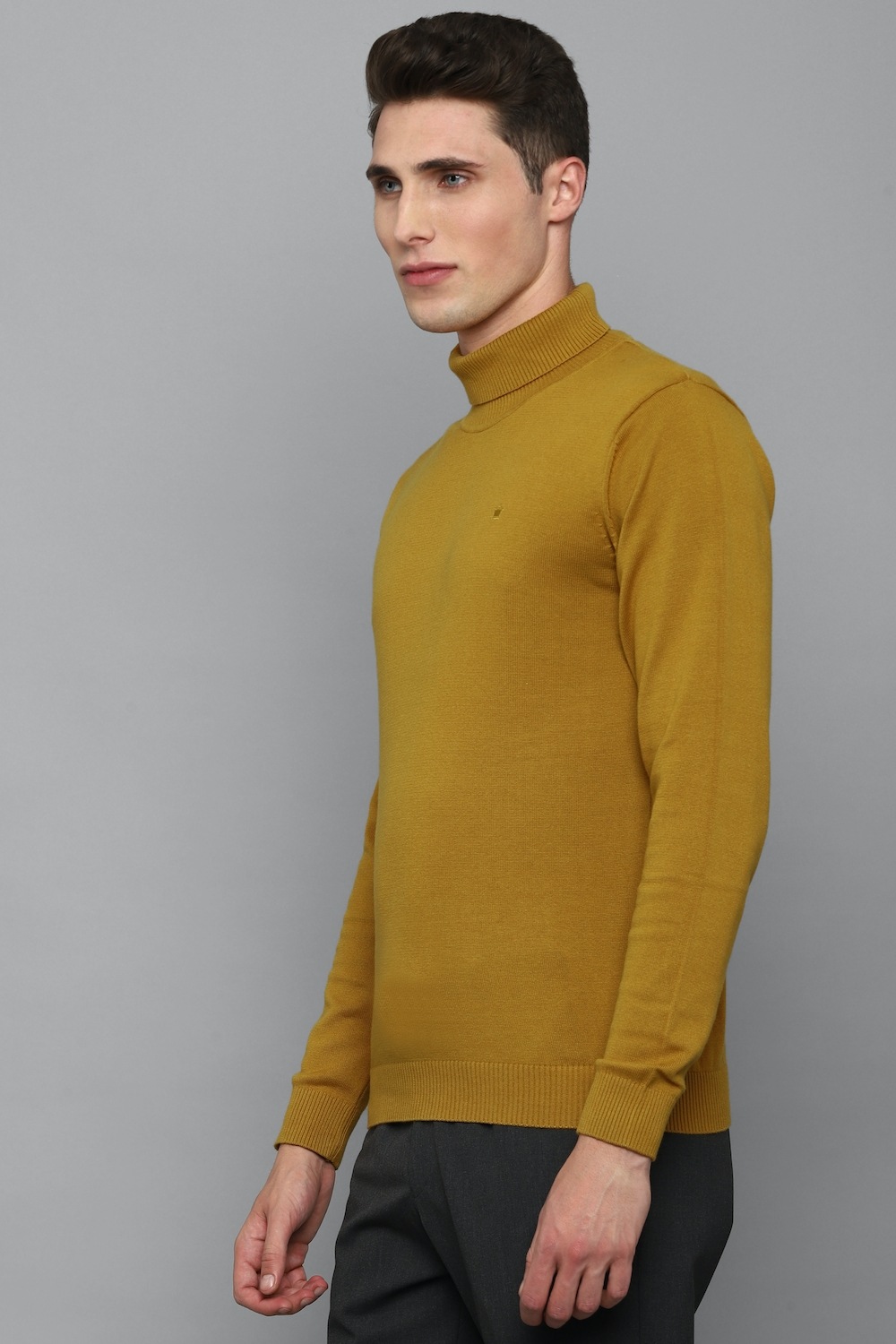 27577-men-brown-solid-turtle-neck-full-sleeves-sweater-brown-1.jpg