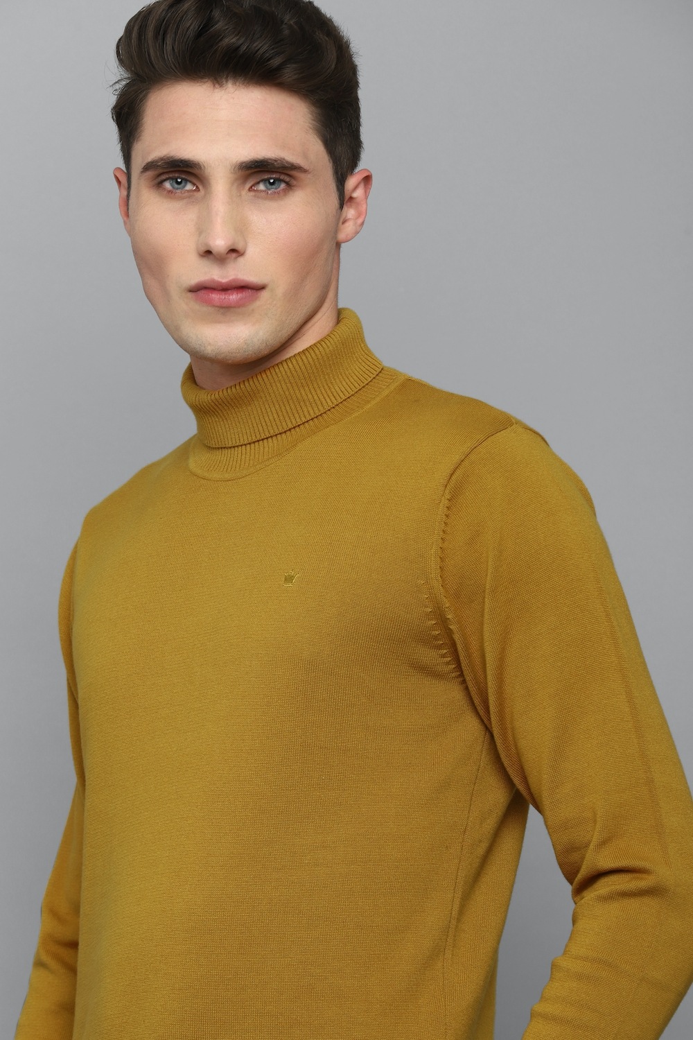 27577-men-brown-solid-turtle-neck-full-sleeves-sweater-brown-1.jpg