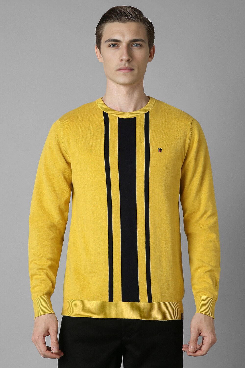 Men Yellow Print Crew Neck Full Sleeves Sweater-Yellow