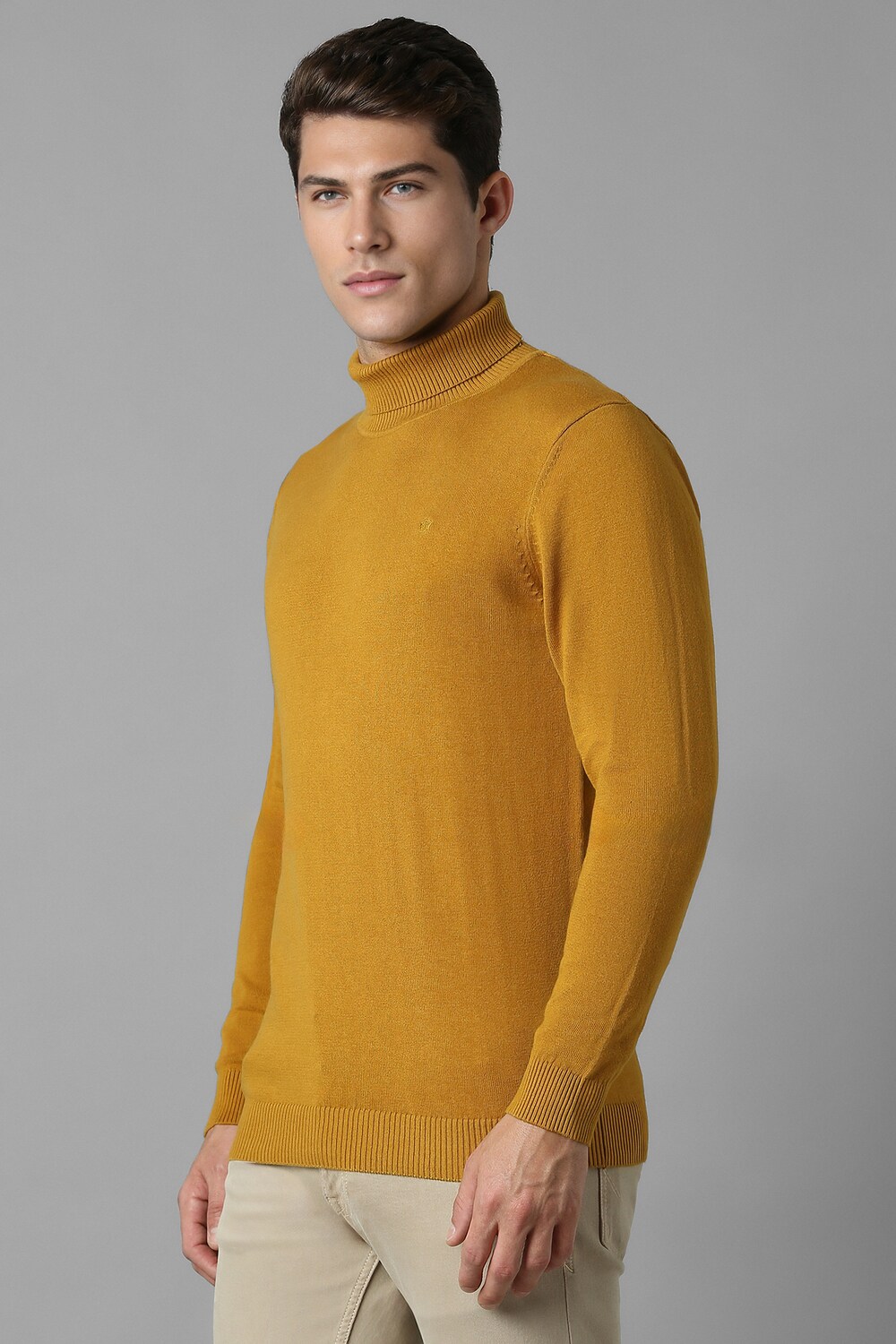 28194-men-yellow-solid-crew-neck-full-sleeves-sweater-yellow-1.jpg