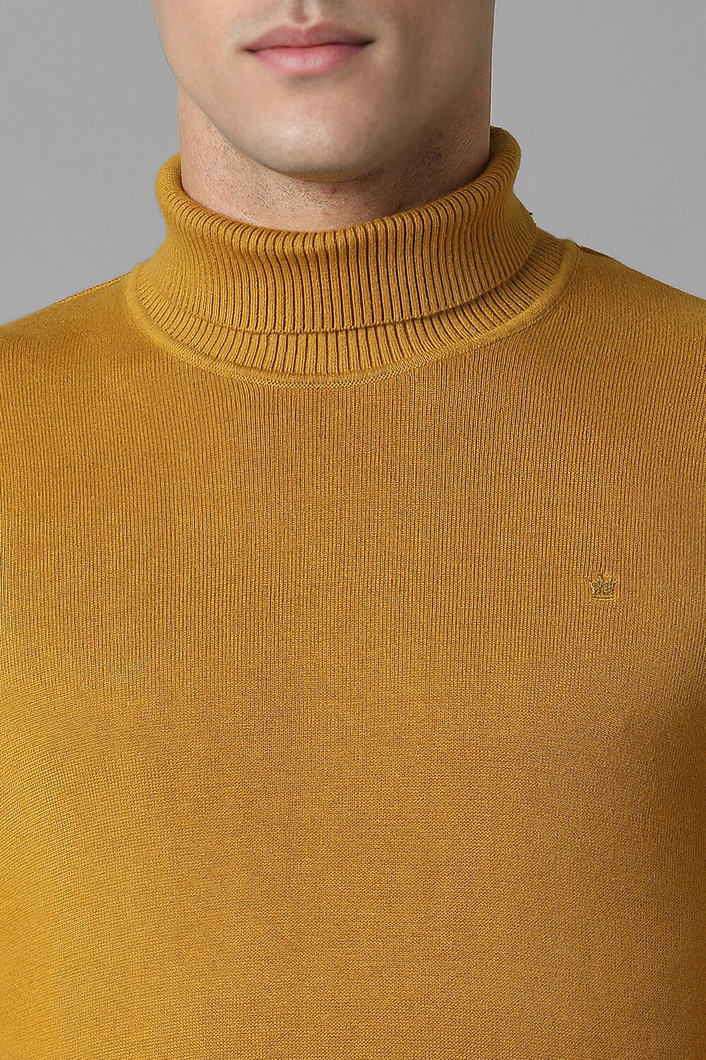 28194-men-yellow-solid-crew-neck-full-sleeves-sweater-yellow-1.jpg