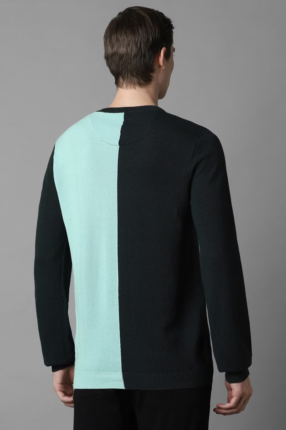 29019-men-green-print-crew-neck-full-sleeves-sweater-green-1.jpg
