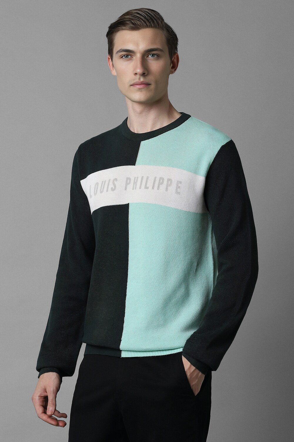 29019-men-green-print-crew-neck-full-sleeves-sweater-green-1.jpg