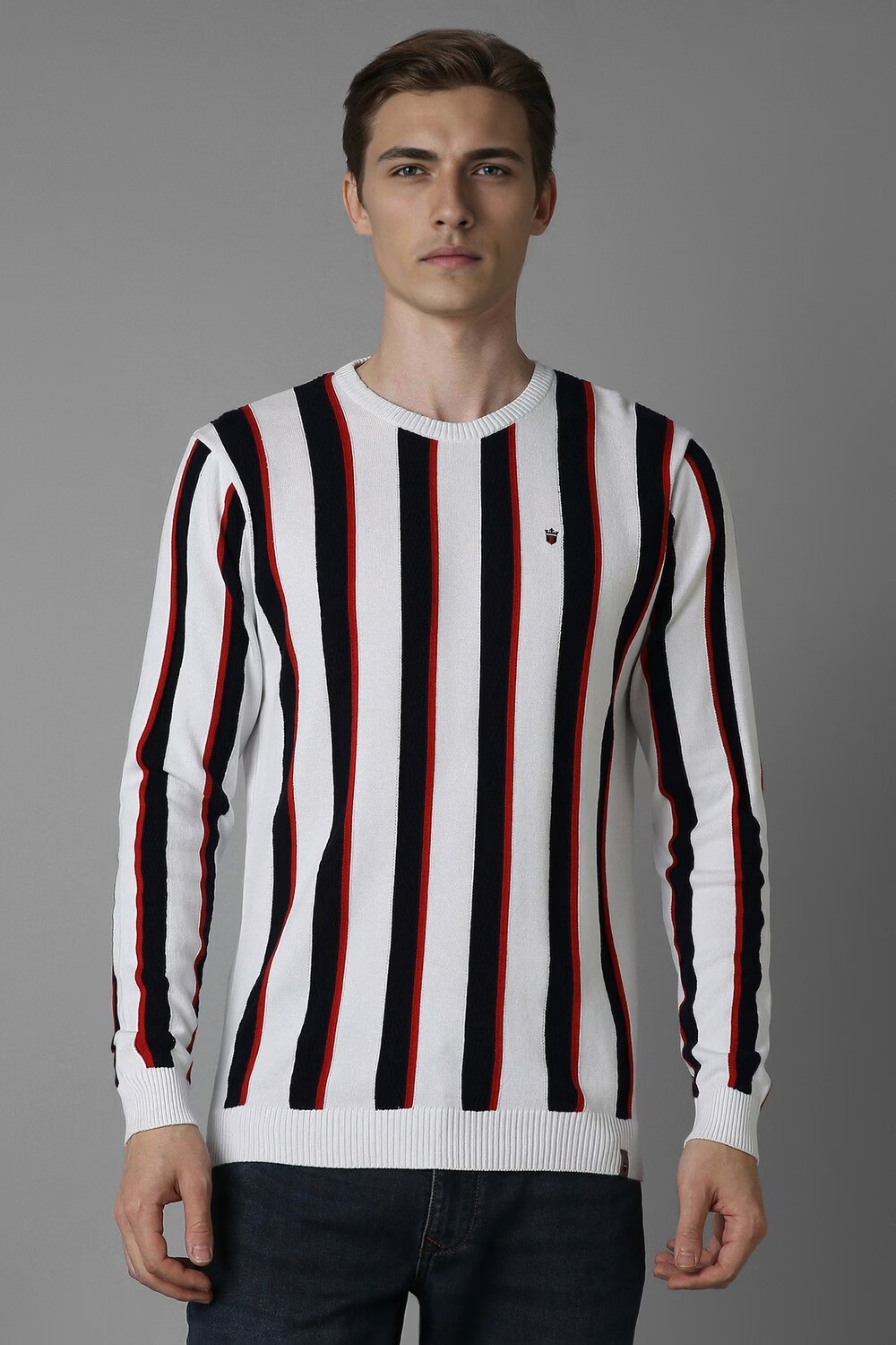 Men White Stripe Crew Neck Full Sleeves Sweater-White