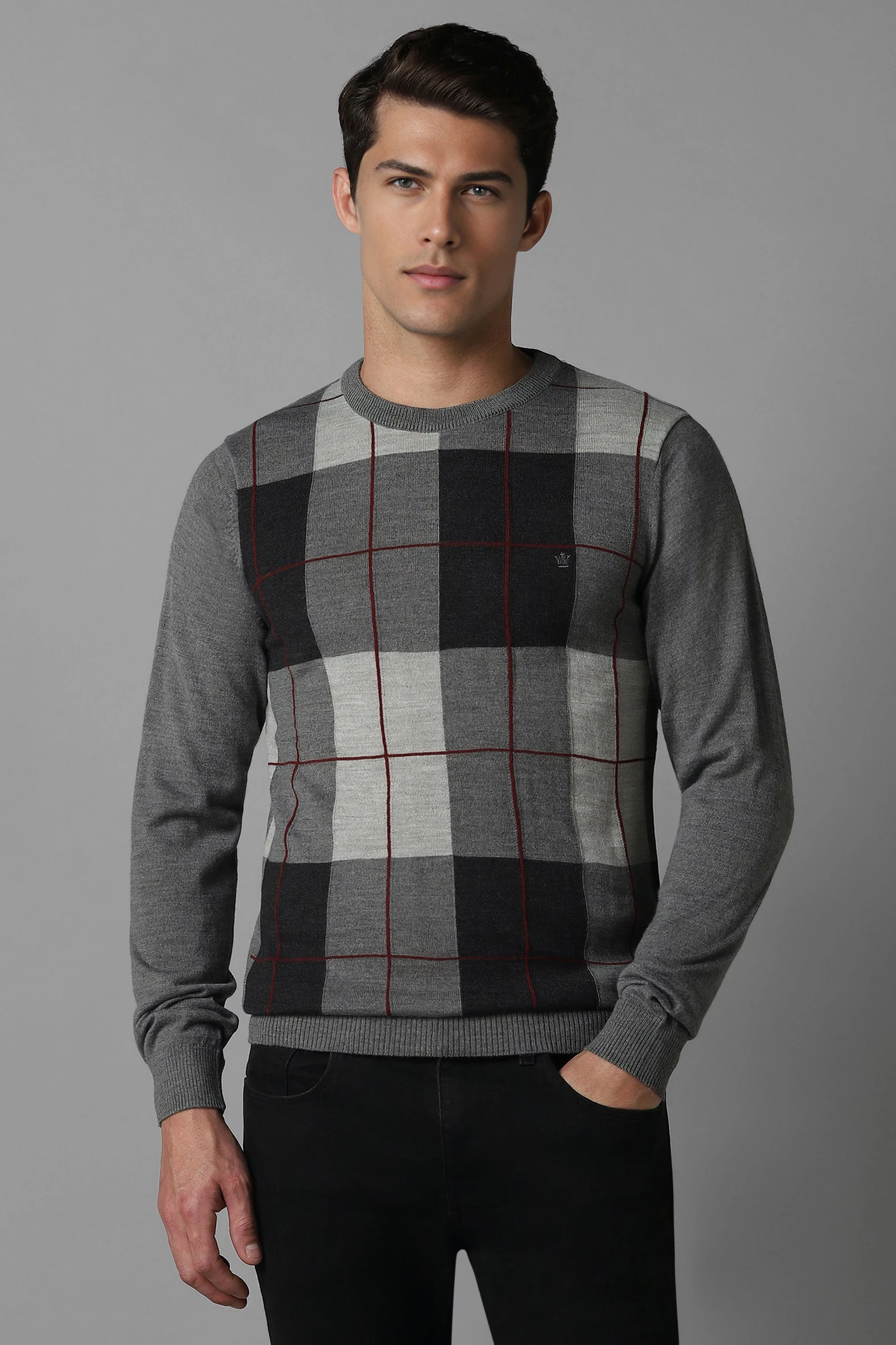 Men Grey Check Crew Neck Full Sleeves Sweater-Grey