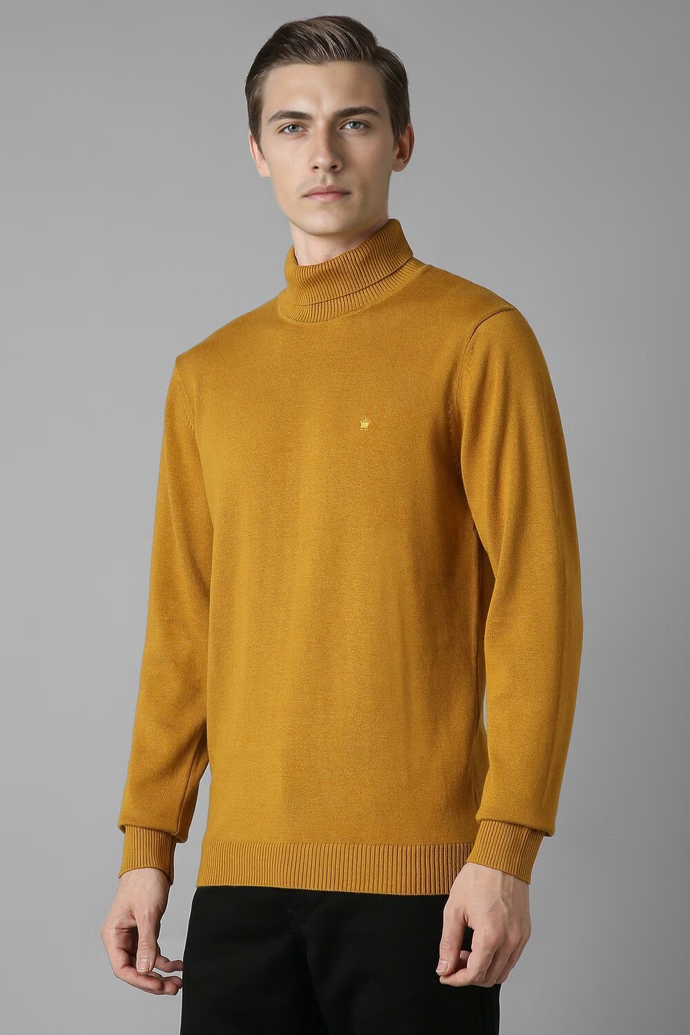 30878-men-yellow-solid-turtle-neck-full-sleeves-sweater-yellow-1.jpg