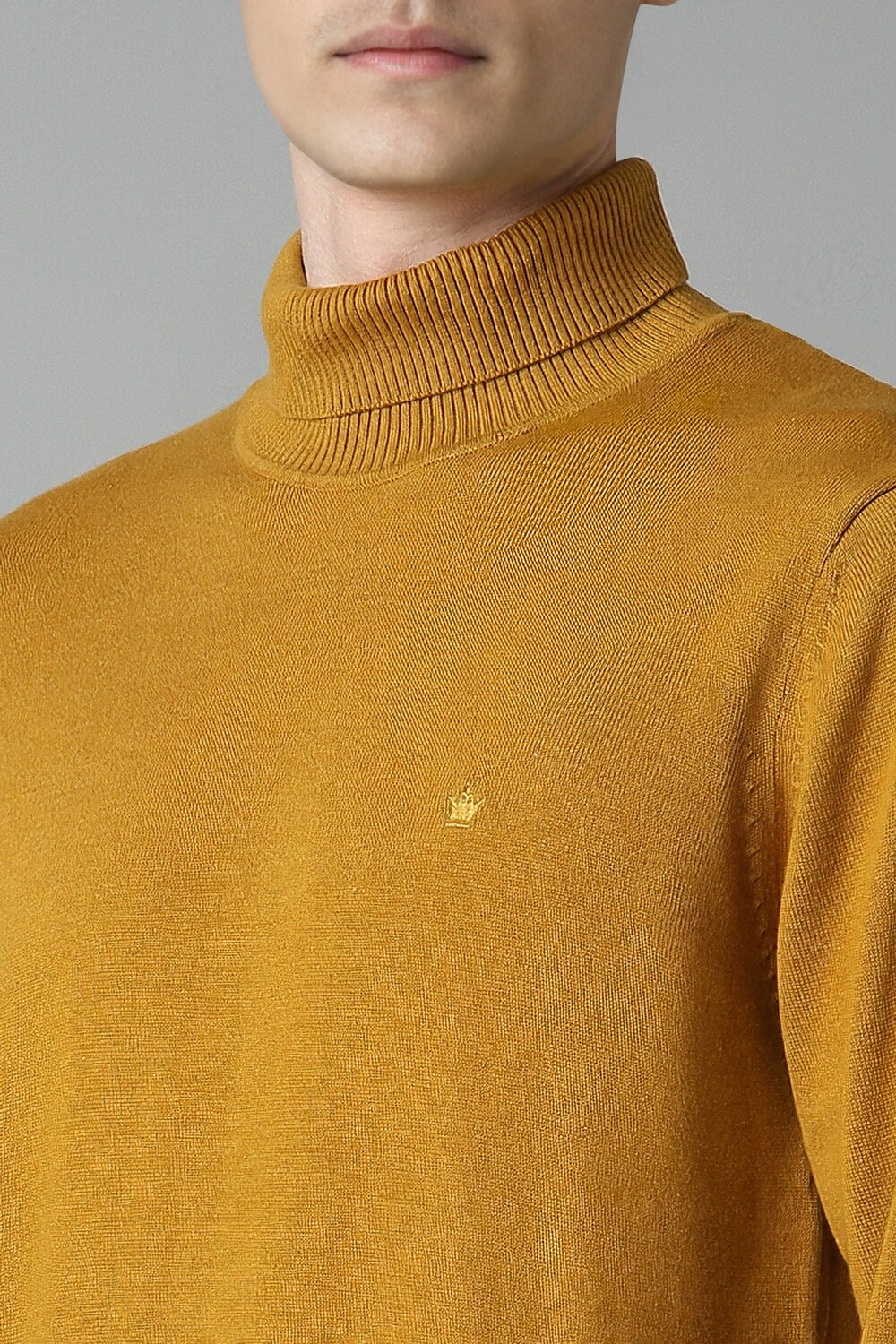 30878-men-yellow-solid-turtle-neck-full-sleeves-sweater-yellow-1.jpg