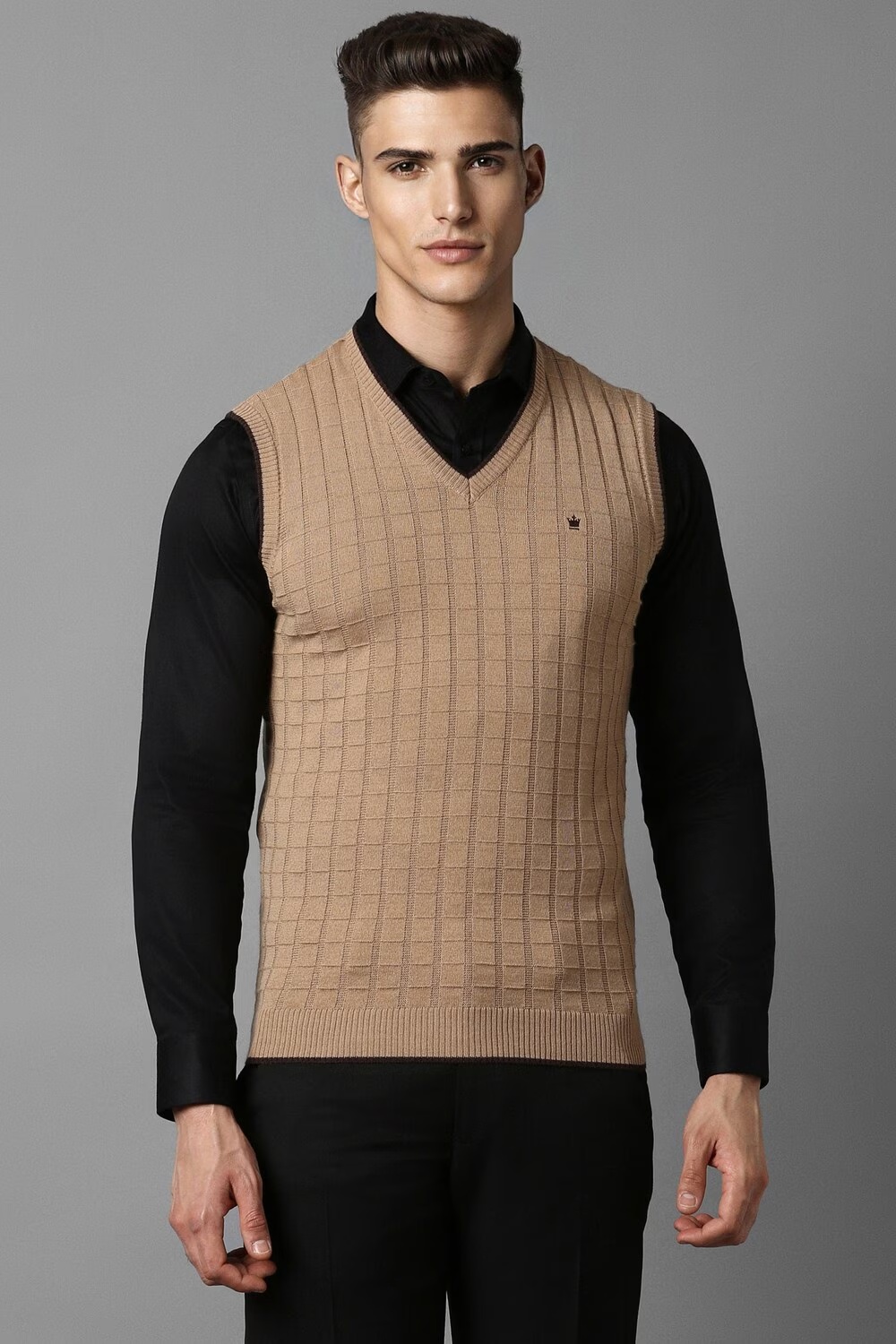 Men Brown Textured V Neck Sleeveless Sweater-Brown