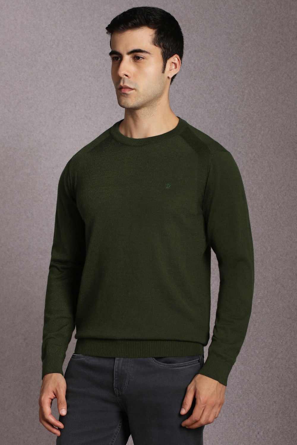 32205-men-olive-textured-crew-neck-full-sleeves-sweater-olive-1.jpg