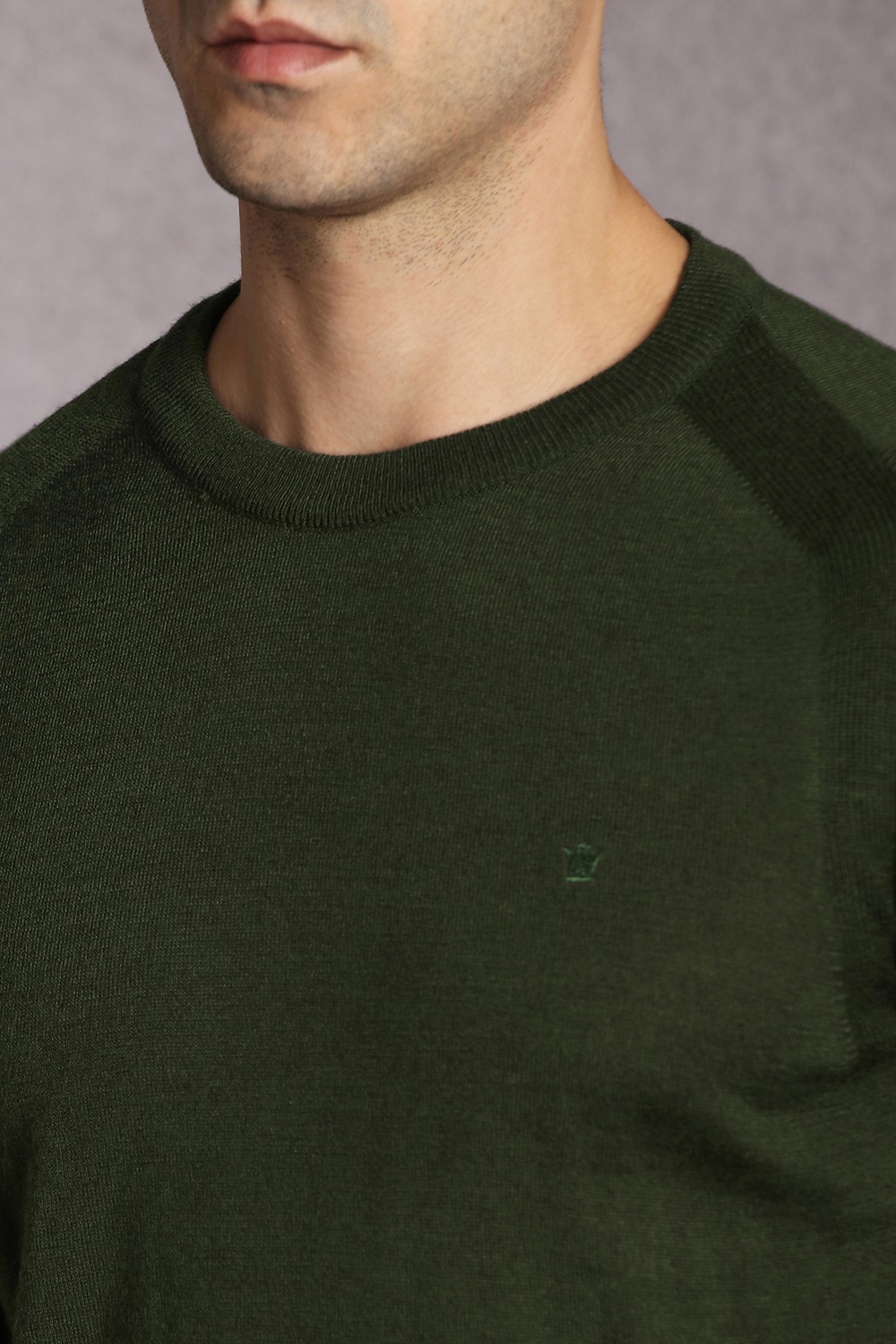 32205-men-olive-textured-crew-neck-full-sleeves-sweater-olive-1.jpg