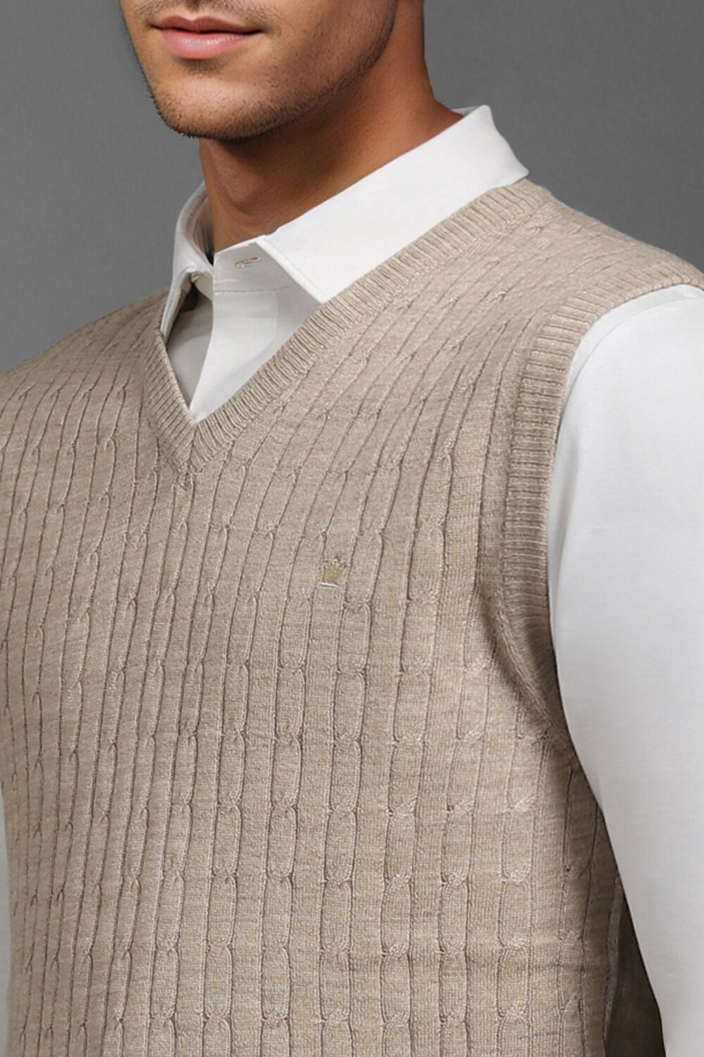 33074-men-beige-textured-v-neck-sleeveless-sweater-beige-1.jpg