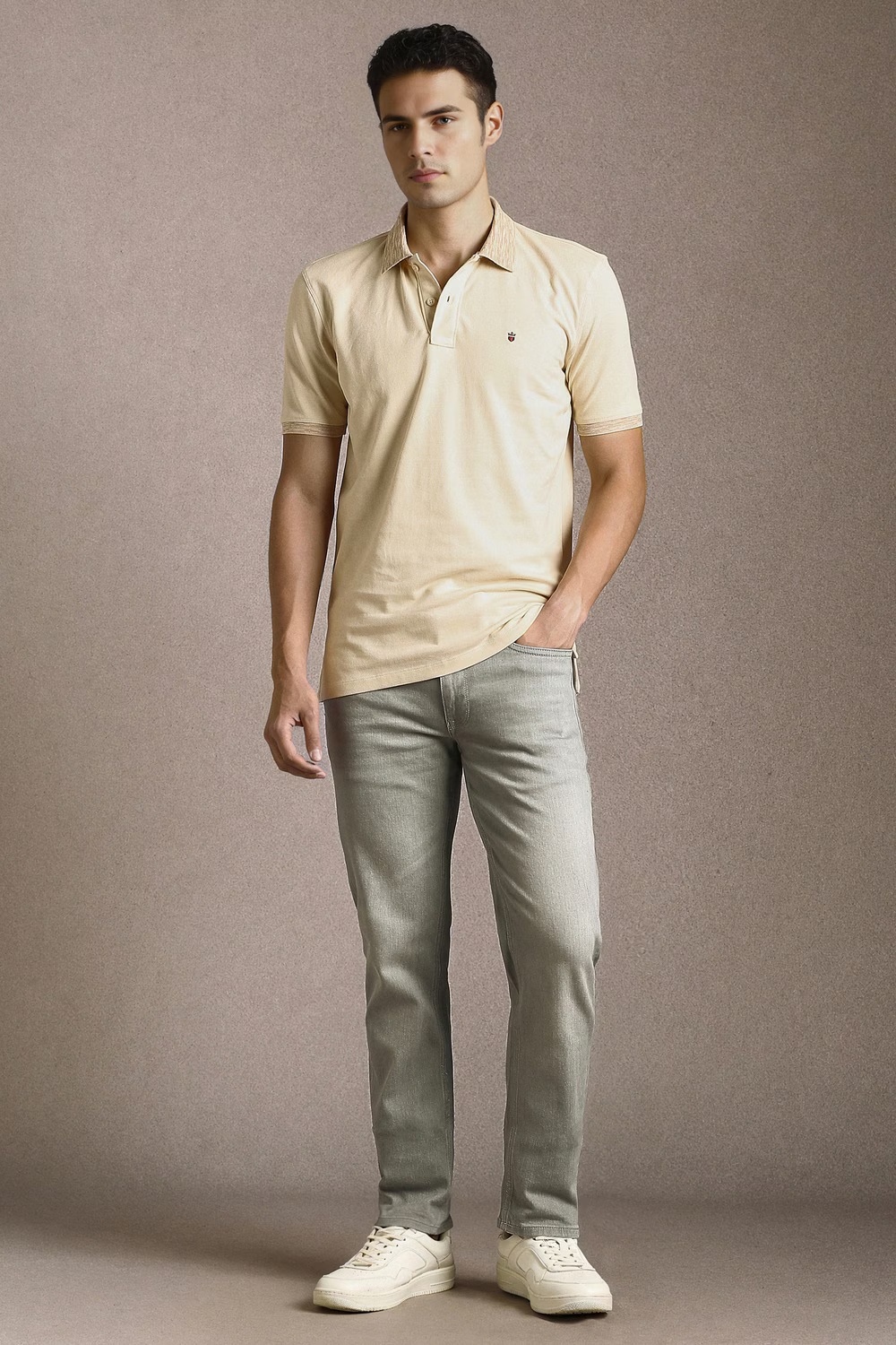 33312-men-beige-solid-polo-neck-t-shirt-beige-1.jpg
