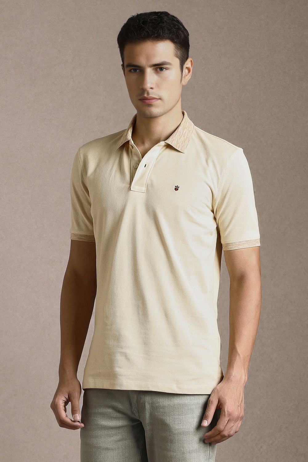33312-men-beige-solid-polo-neck-t-shirt-beige-1.jpg