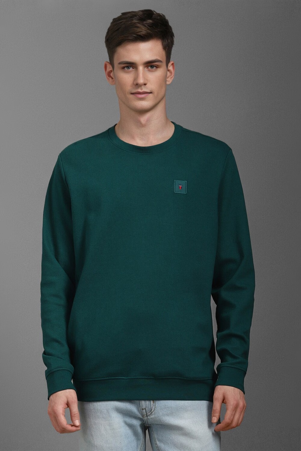 Men Casual Green Textured Sweatshirt-Green