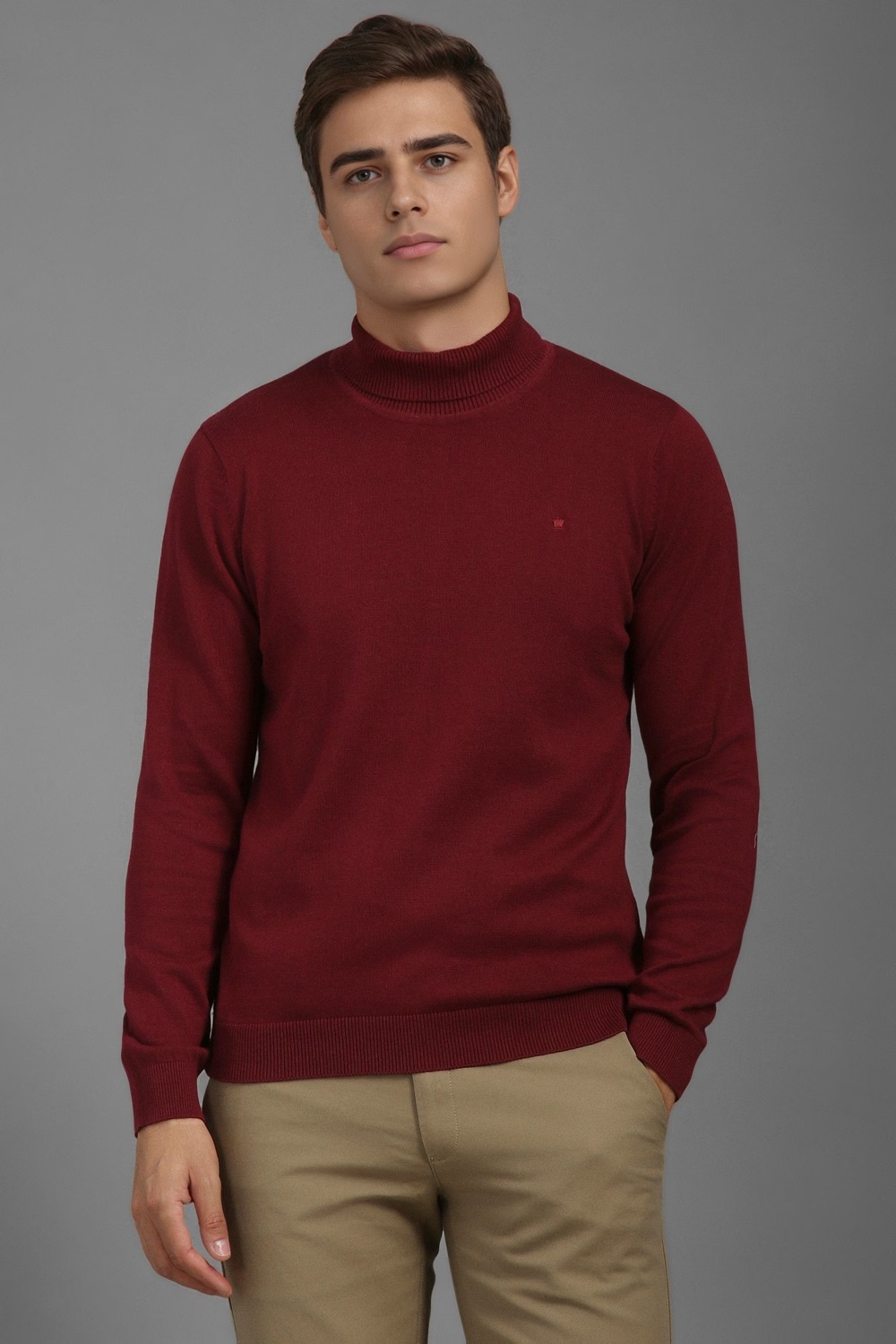 Men Maroon Solid Turtle Neck Full Sleeves Sweater-Maroon