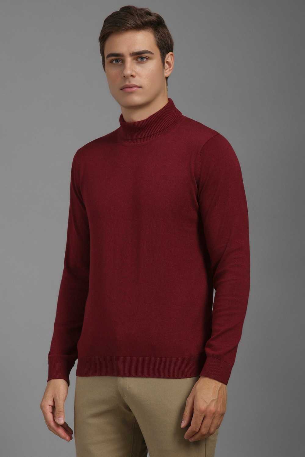 39173-men-maroon-solid-turtle-neck-full-sleeves-sweater-maroon-1.jpg