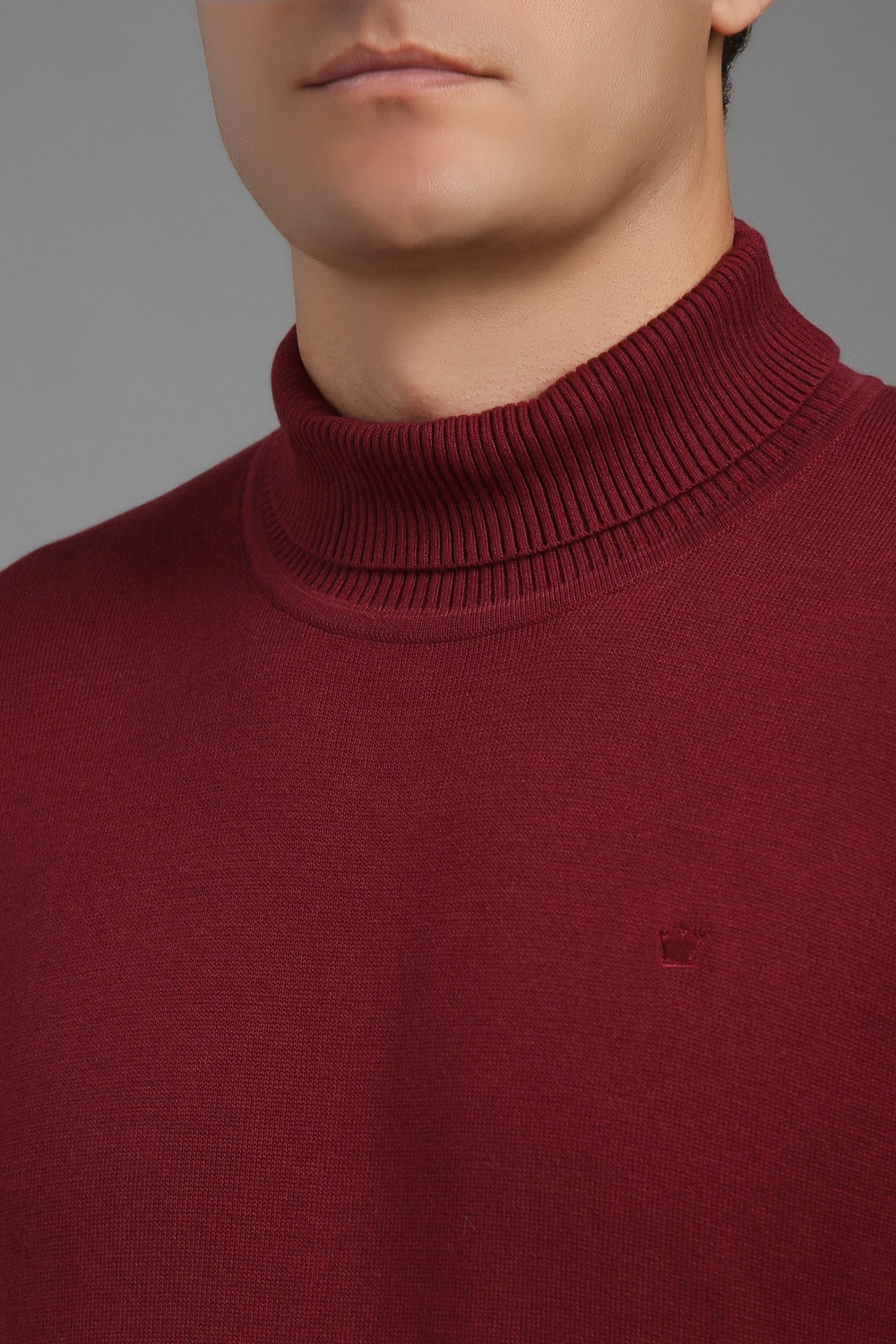 39173-men-maroon-solid-turtle-neck-full-sleeves-sweater-maroon-1.jpg
