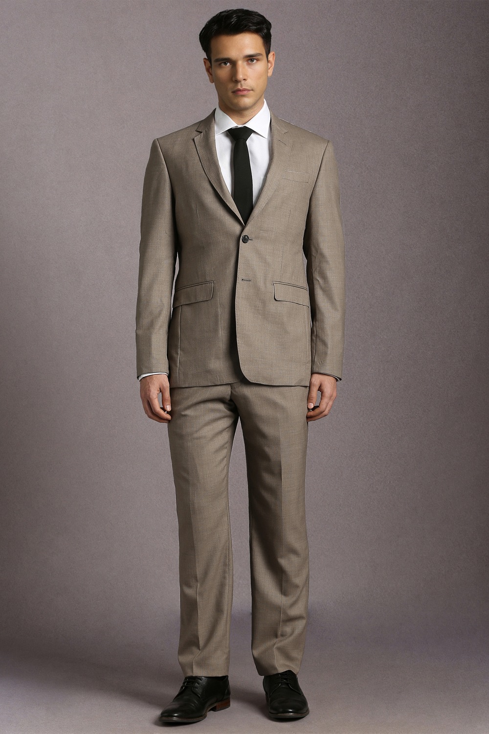 Men Beige Textured Formal Two Piece Suit-Beige