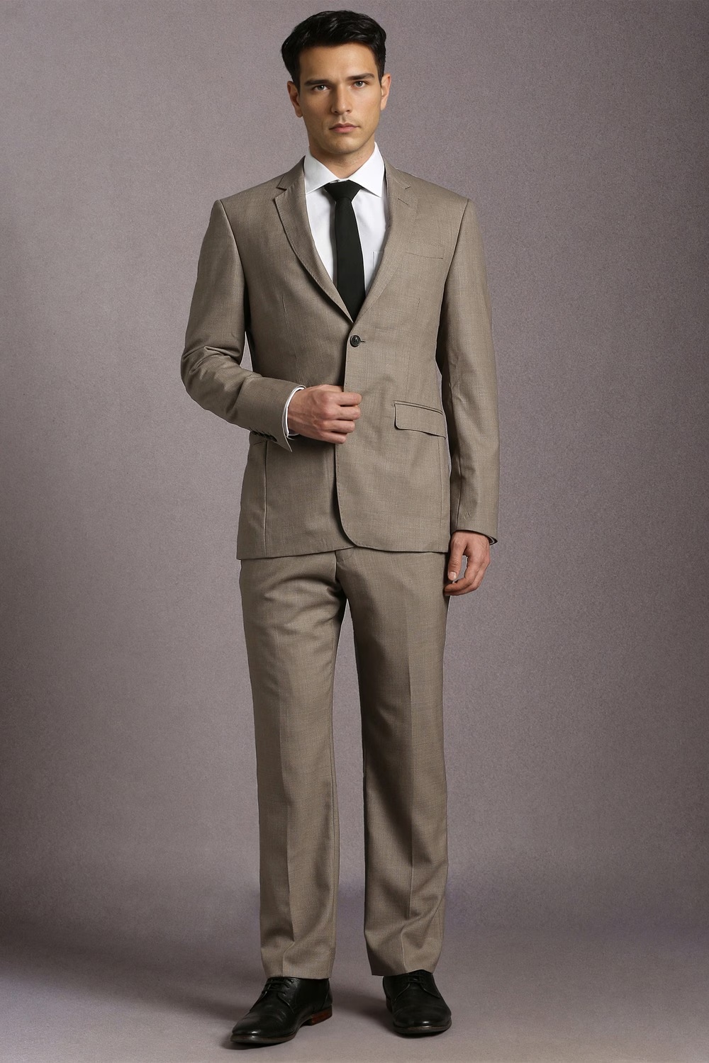 Men Beige Textured Formal Two Piece Suit-Beige