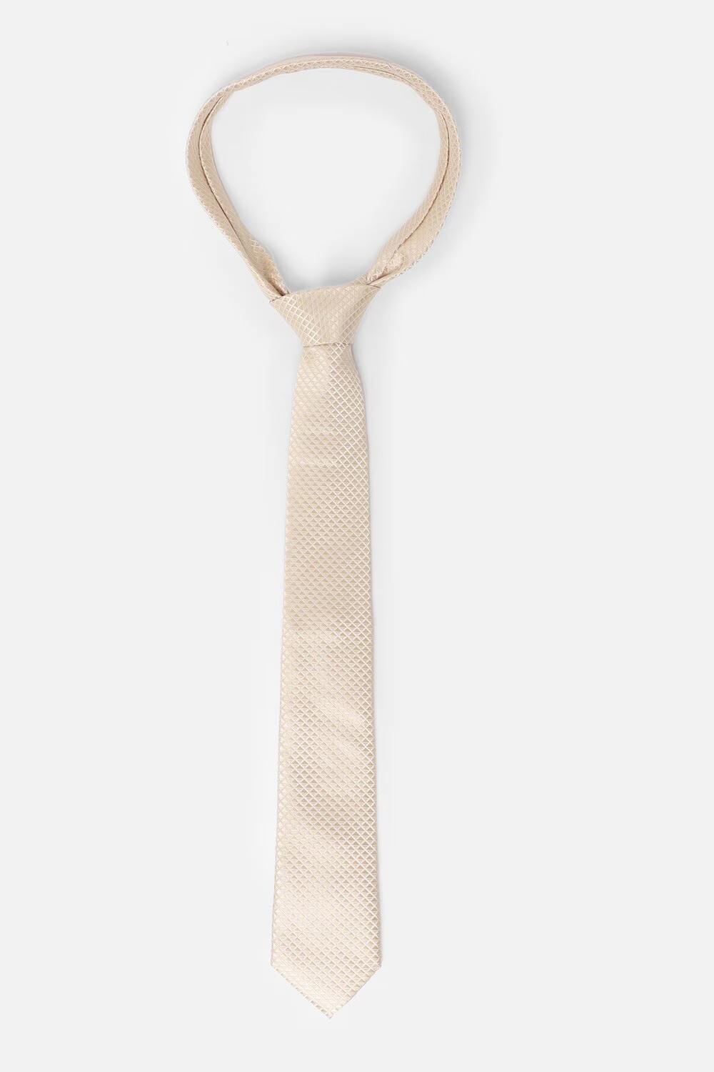 42159-men-beige-embroidered-tie-beige-1.jpg