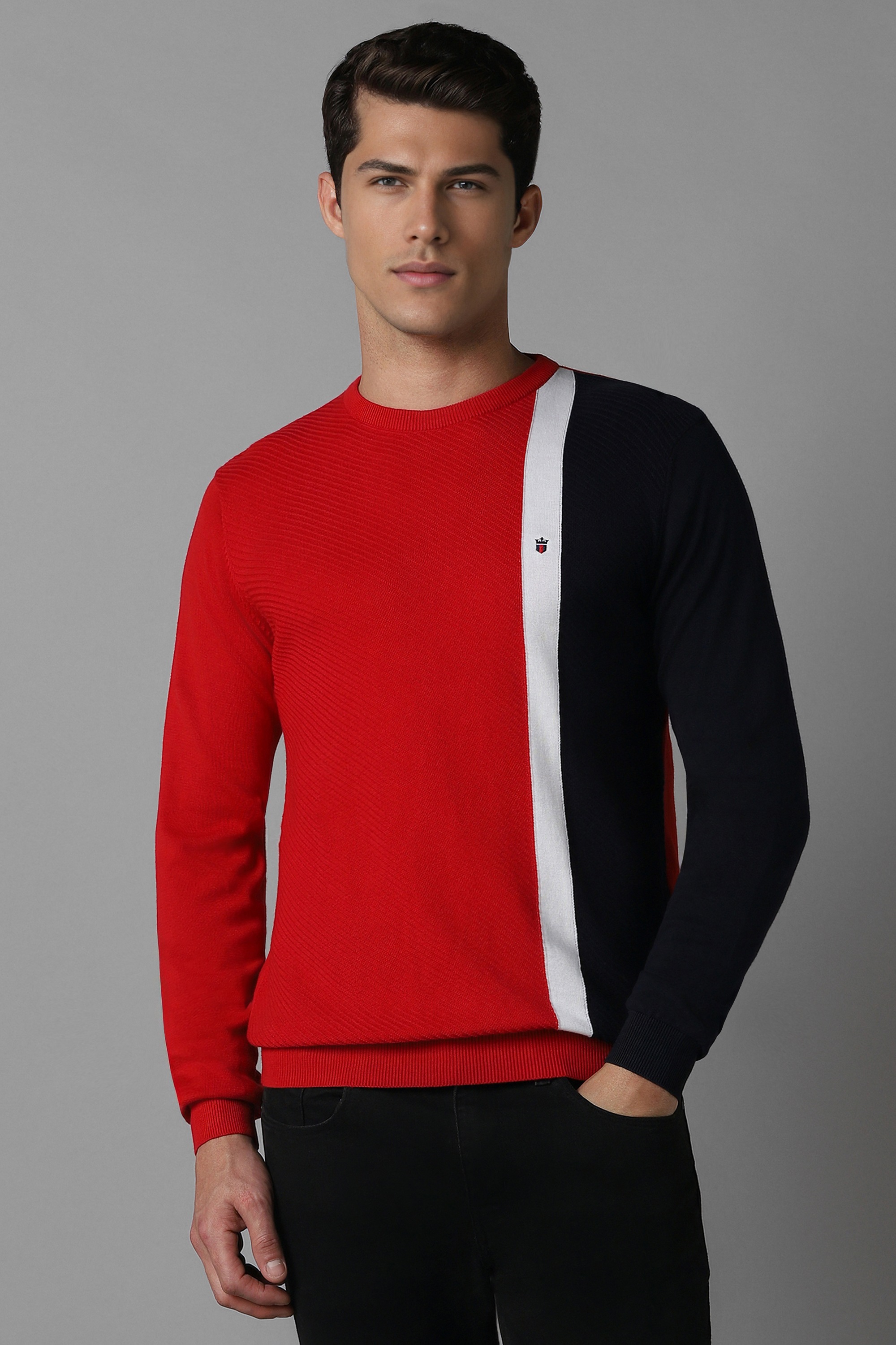 Men Red Print Crew Neck Full Sleeves Sweater-Red