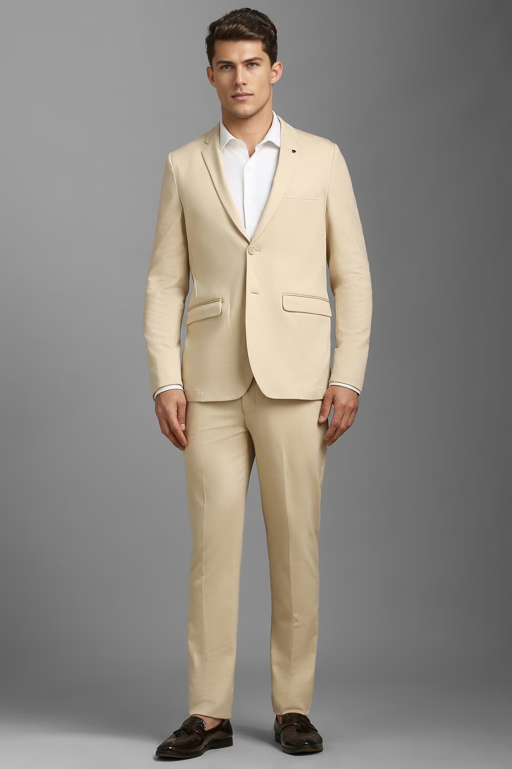 Men Beige Slim Fit Solid Formal Two Piece Suit-Beige