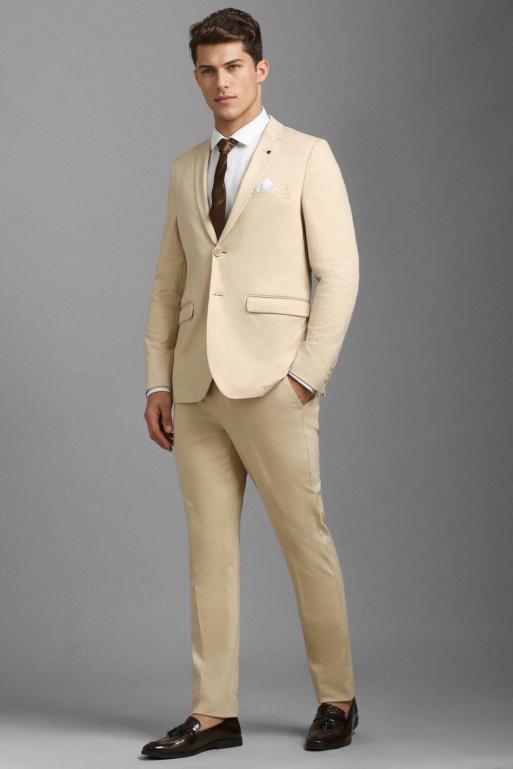 Men Beige Slim Fit Solid Formal Two Piece Suit-Beige